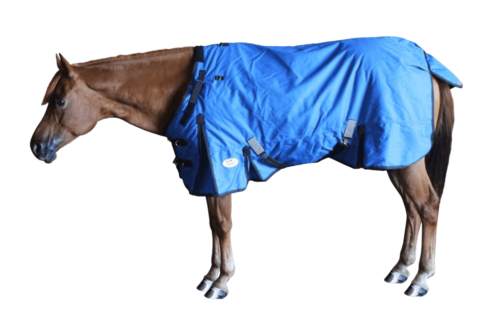 Derby House Pro Heavy Combo Horse Rug Turnout Dark Purple Lime Punch All Sizes 