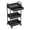 Black, variant on TeqHome 3 Tier Metal Utility Rolling Storage Cart Rustproof Trolley with Lockable Wheels for Office Bathroom Kitchen Garden Black