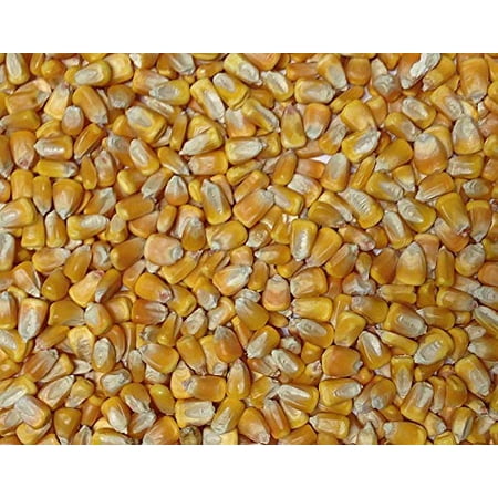 Organic Yellow Whole Corn by Jojo's Organics | Corn Maize Certified Organic Non-GMO Bulk Grains 5 lbs Great for Tamale Masa Tortillas Muffins Chowder 100% Product of (Best Whole Grain Tortillas)
