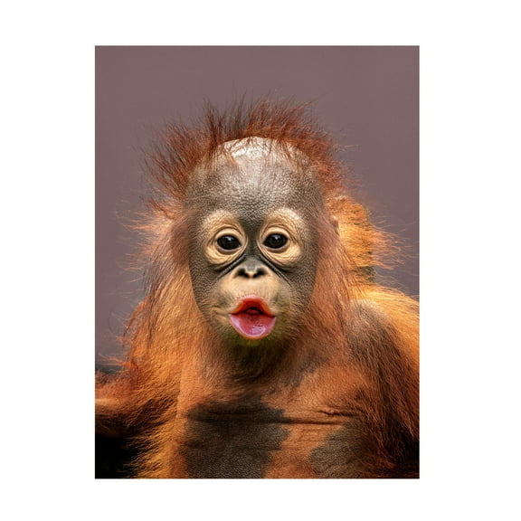 Trademark Fine Art Prabu Dennaga kisses Canvas Wall Art