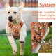 thumbnail image 4 of Arnés para perros HEELE sin tirones, ajustable, acolchado, naranja M, 4 of 5
