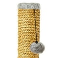 thumbnail image 6 of Vibrant Life Small Seagrass Scratch and Play Post, Gray, 20", 6 of 9