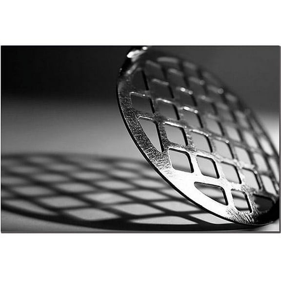 Trademark Fine Art "Masher" Canvas Art by Tammy Davison