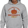 thumbnail image 2 of Halloweentown University Hoodie Sweatshirt Unisex Large Grey, 2 of 5