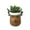 Dark Khaki Deer, variant on nvzhuang Holiday Planter, Plant Pot with Drainage Flower Pots for Indoor Plants Succulent Pots, Santa Snowman Elk Pot for Christmas