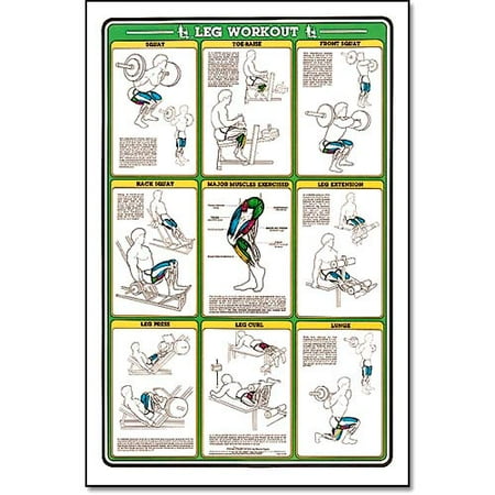 Fitnus Chart -Leg Workout 23"x35"