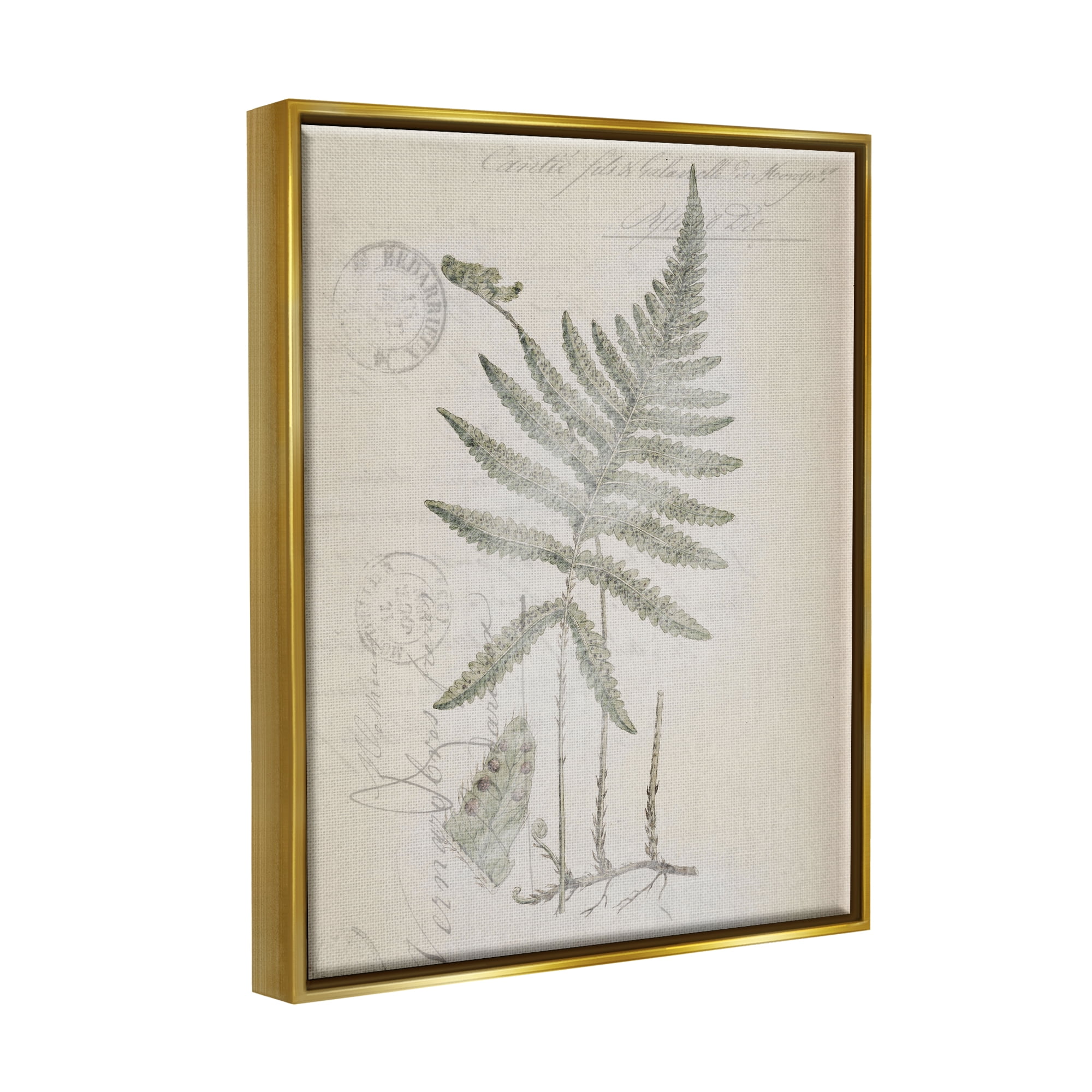 Stupell Industries Vintage Post Card Fern Leaf Botanical & Floral Drawing Gold Floater Framed Art Print Wall Art
