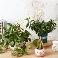 thumbnail image 5 of 4Pcs 2 Style Wood Plant Trellis Monstera Leaf Wood Trellis for Potted Plants Small Indoor Plant Trellis Wood Vine Plant Support for Climbing Plants Potted Plants Support - 9.8~15.6 inch Long, 5 of 9