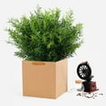 thumbnail image 3 of 4 Pcs Artificial Snapdragon Fern No Fade Greenery Shrubs Outdoor for Vases Farmhouse Garden Porch Patio Wedding Decoration Outsides Dcor, 3 of 7