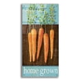 thumbnail image 1 of Epic Art 'Crisp Carrots' by Jadei Graphics, Acrylic Glass Wall Art, 24"x48", 1 of 8