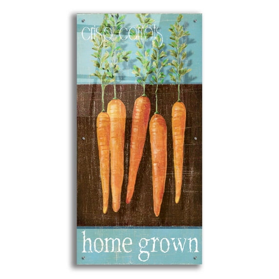 Epic Art 'Crisp Carrots' by Jadei Graphics, Acrylic Glass Wall Art, 24"x48"