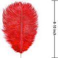 thumbnail image 2 of MesaSe Lot de 20 Plumes d'Autruche Rouge Naturelles 8-10 Pouces pour Décorations DIY Mariage Centre de Table, 2 of 6