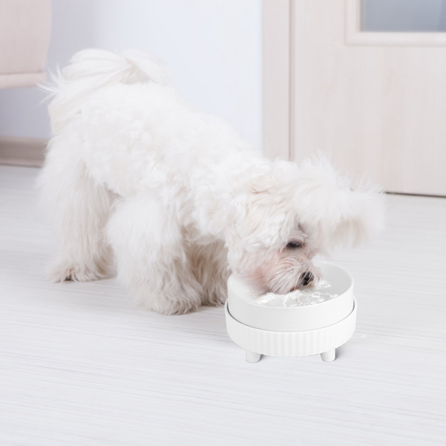 Teqhome Thermal Pet Bowl Heated Water Bowl for Dogs Cats USB Powered Heated Bowl for Drinkable Water and Hot Food in Winter with 1 12oz Ceramic Bowl White