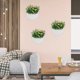 thumbnail image 4 of Jardinera decorativa pntas montadas e pared s colgantes de riego automático para el hogar, oficina y el jardín Baoblaze Macetas de pared, 4 of 8