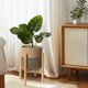 thumbnail image 5 of Cesta para plantas redonda de mimbre con soporte de madera de bambú maceta decorativa de cuerda tejida con patas, 5 of 7