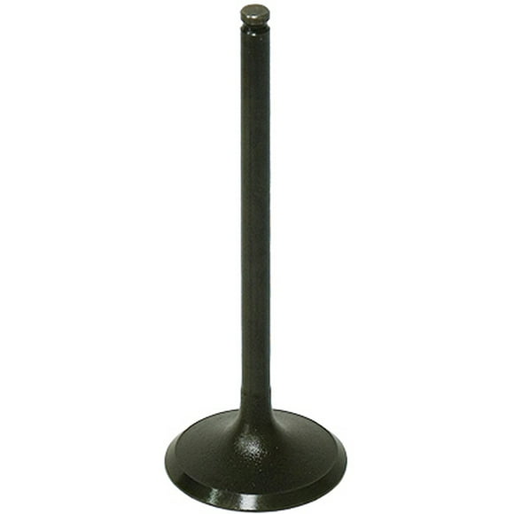 Bronco Intake Valve