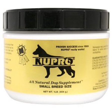 Best Natural Supplements For Diabetic Dogs