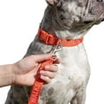 thumbnail image 3 of Oodles I Heart Walks 6 ft Polyester Standard Dog Leash, Red, 3 of 8
