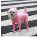 thumbnail image 2 of Mascota impermeable con capucha lluvia desgaste ligero transpirable ajustable mascota mackintosh traje (rosa, s) Sincero  mascotas, 2 of 4