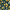 Floral Lemons, variant on Yayeee Table Runner 70 inches Long Home Kitchen Dinning Party Decoration, Blue Lemons