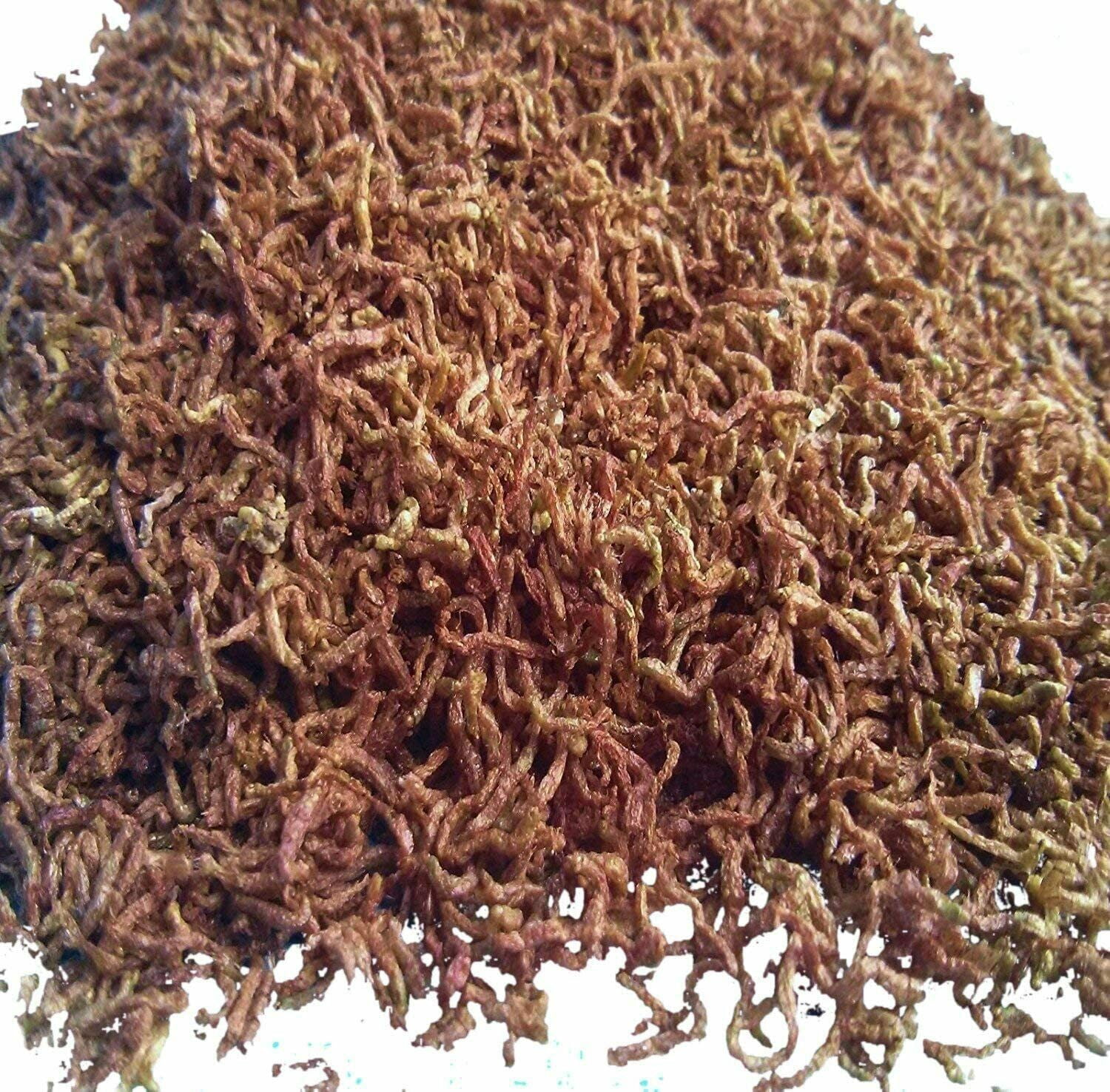 5oz Bloodworms, Freeze Dried Fresh Grade A Floating Bloodworms for All Tropical Fish, Bettas, Discus, Cichlids, Community Fish, Turtles, Carnivore Tropical Fish, Carnivorous Plants. 5oz Bag