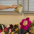 thumbnail image 3 of Jellycat Amuseables,Jellycat Stuffed Animals,Jellycat Botany Stuffed Animal Gift Plush, Flower Cute Soft Stuffed Animal Plush Gifts for Kids Baby Toddlers on Baby Shower, Valentine's Day( 11.8inch), 3 of 4