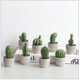 thumbnail image 1 of Plantas de cactus artificiales Fake Prickly Pear Ceramic Mini Pots Planta de flores artificiales, 1 of 2