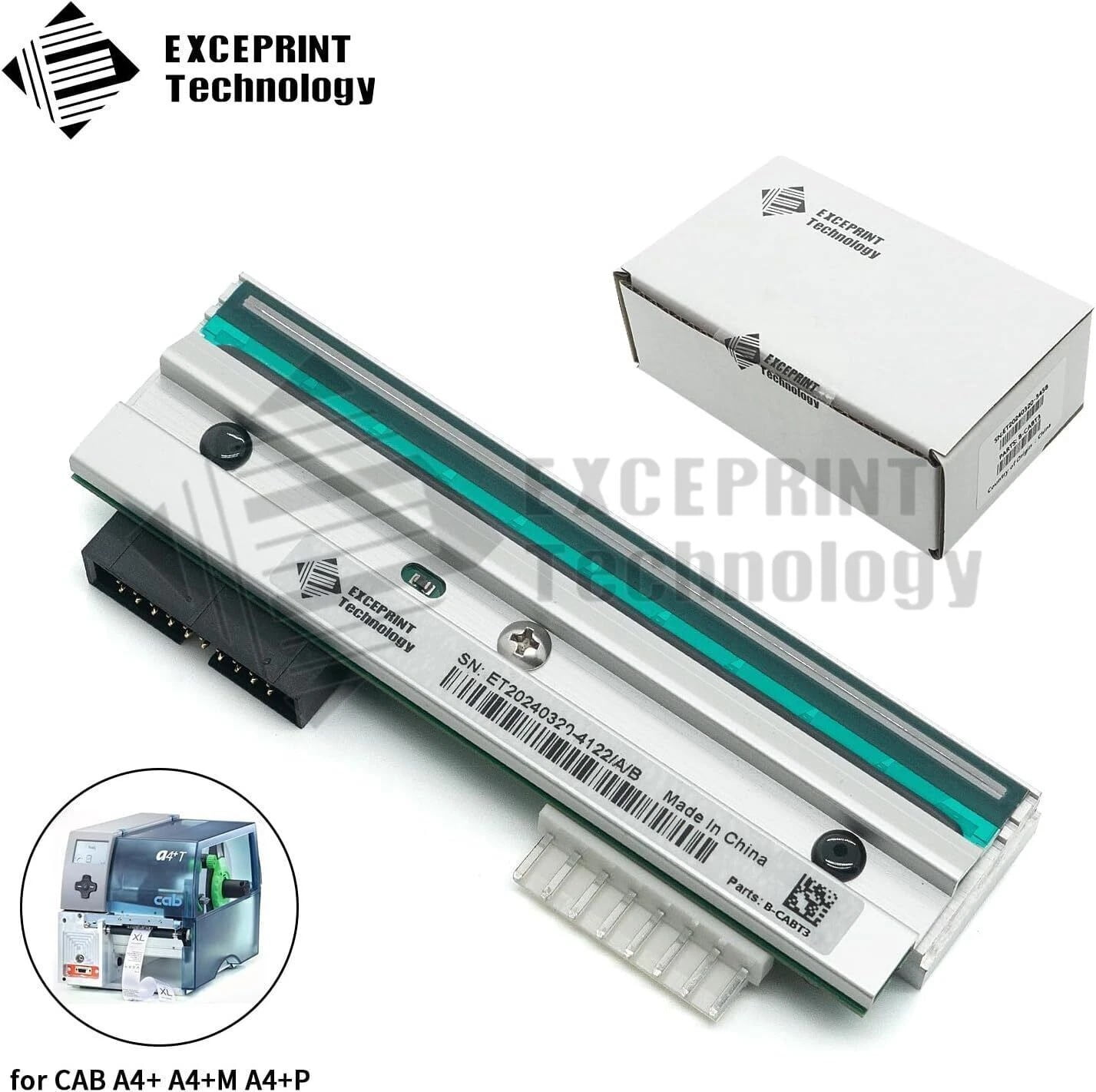 ✅ Printhead for CAB A4 A4+ XD4T Label Printer 300dpi 5954072 USA STOCK ✅