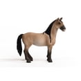 thumbnail image 2 of Figura de juguete Schleich Horse Club Horses 2022 Criollo Definitivo, 2 of 6