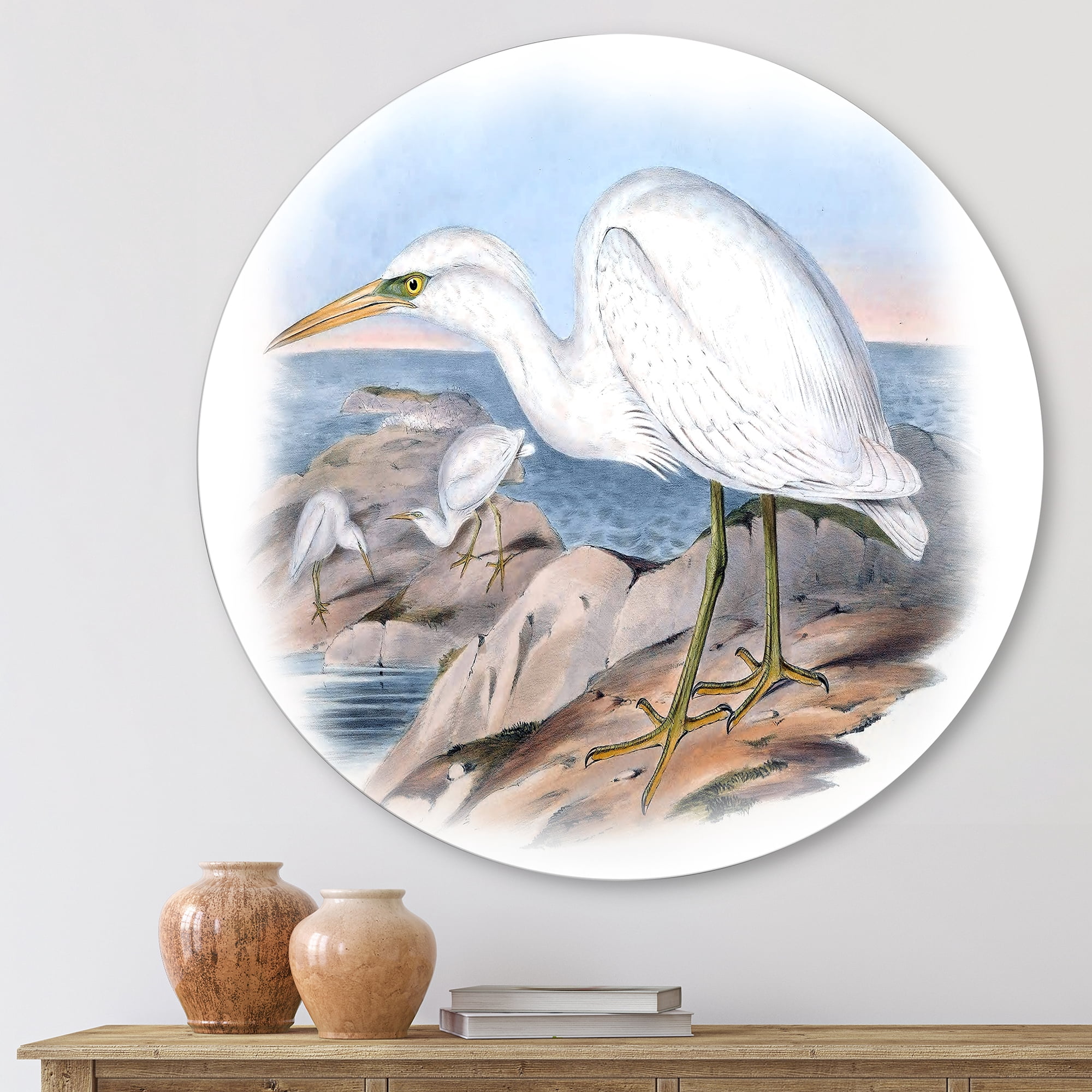 Designart 'Ancient Australian Birds XIII' Traditional Circle Metal Wall Art 11x11 - Disc of 11