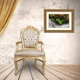 thumbnail image 3 of Jones, Adam 14x11 Gold Ornate Wood Framed with Double Matting Museum Art Print Titled - Stream and maidenhair ferns-Columbia River Gorge-Oregon, 3 of 4