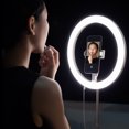 thumbnail image 3 of Aro de Luz bcase Rosa, 3 of 8