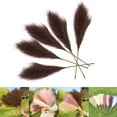 thumbnail image 6 of Artificial Pampas Grass Faux Bulrush Tall Reed Grass for Wedding Outdoor , brown, 6 of 8