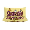thumbnail image 4 of Scooby Doo Comforter Set 3 Pieces Quilt Cover Set Soft Bedding Sets for All Seasons (1 Comforter 79"x90", 2 Pillowcases), 4 of 8
