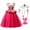 Dress with Accessories, variant on Girls Aurora Princess Dress Sleeping Beauty Fancy Dress Up Halloween Christmas Birthday Party Gown (w/Accessories)