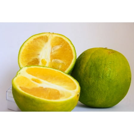 - LAMINATED POSTER Green Fruit Fresh Cut Healthy Food Lime Citrus Poster Print 24 x 36