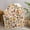 Mushroom and Morel Beige Pattern, variant on Mushroom and Morel Beige Pattern Sherpa Fleece Throw Blanket,Soft Plush,Warm,All Season,Cozy Fuzzy Lamb Fleece Blanket for Sofa Bed Couch Living Room Chair,30"x40"