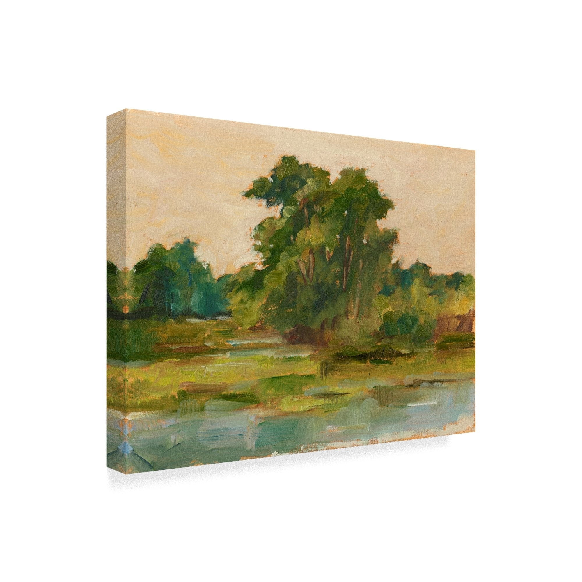 Trademark Fine Art 'Changing Sunlight I' Canvas Art by Ethan Harper