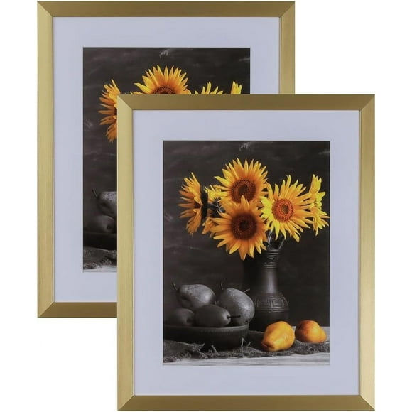 Picture Frames Set of 2. 1-1/8" Polystyrene Modern Gold 24x30 Wholesaleartsframes-com 313-VI Series Made in USA
