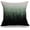 Sw-016, variant on Watercolor Vintage Rose Decorative Throw Pillow Cover Case, Peony Succulents Cotton Linen Outdoor Pillow Cases Square Standard Cushion Covers for Sofa Couch Bed Car 18x18 inch