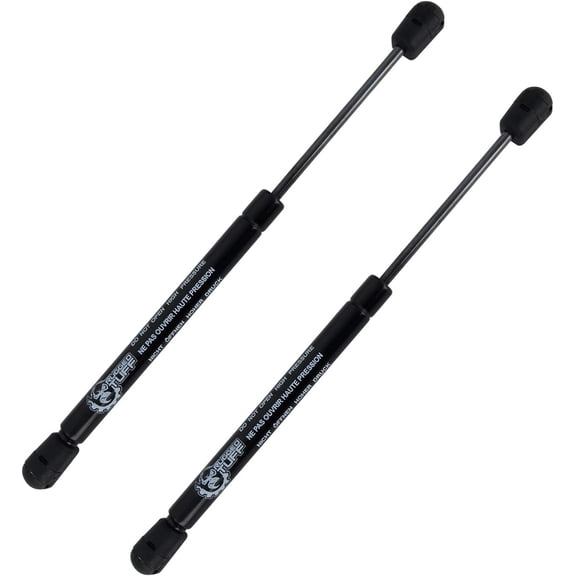 2 Lift Supports Gas Struts Shocks Fits 2005 2006 2007 2008 Chrysler 300 Sedan Rear Trunk Cargo Lid SG414049 RB8795323 6405 Springs Arms Dampers Rods