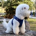 thumbnail image 3 of Small Medium Large Dog Warning Reflective Harness Padded Vest And Front Nylon Lead Adjustable Chest Strap Safety-navy/l, 3 of 4