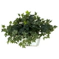 thumbnail image 3 of Nearly Natural Ivy with White Wash Planter - Silk Plant Green, 3 of 5