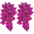 thumbnail image 1 of Tiras blanqueadoras de dientes Jaysuing Manchas de humo Sin residuos Blanqueamiento de dientes sensibles Tiras blanqueadoras No acidifican los dientes -8061320271220, 1 of 4