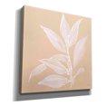 thumbnail image 2 of Epic Graffiti 'Leaf Study I' by Chris Paschke, Giclee Canvas Wall Art, 26"x26", 2 of 8