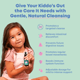 thumbnail image 2 of JoySpring Kids' Liquid Intestinal Cleanse, 2 of 8