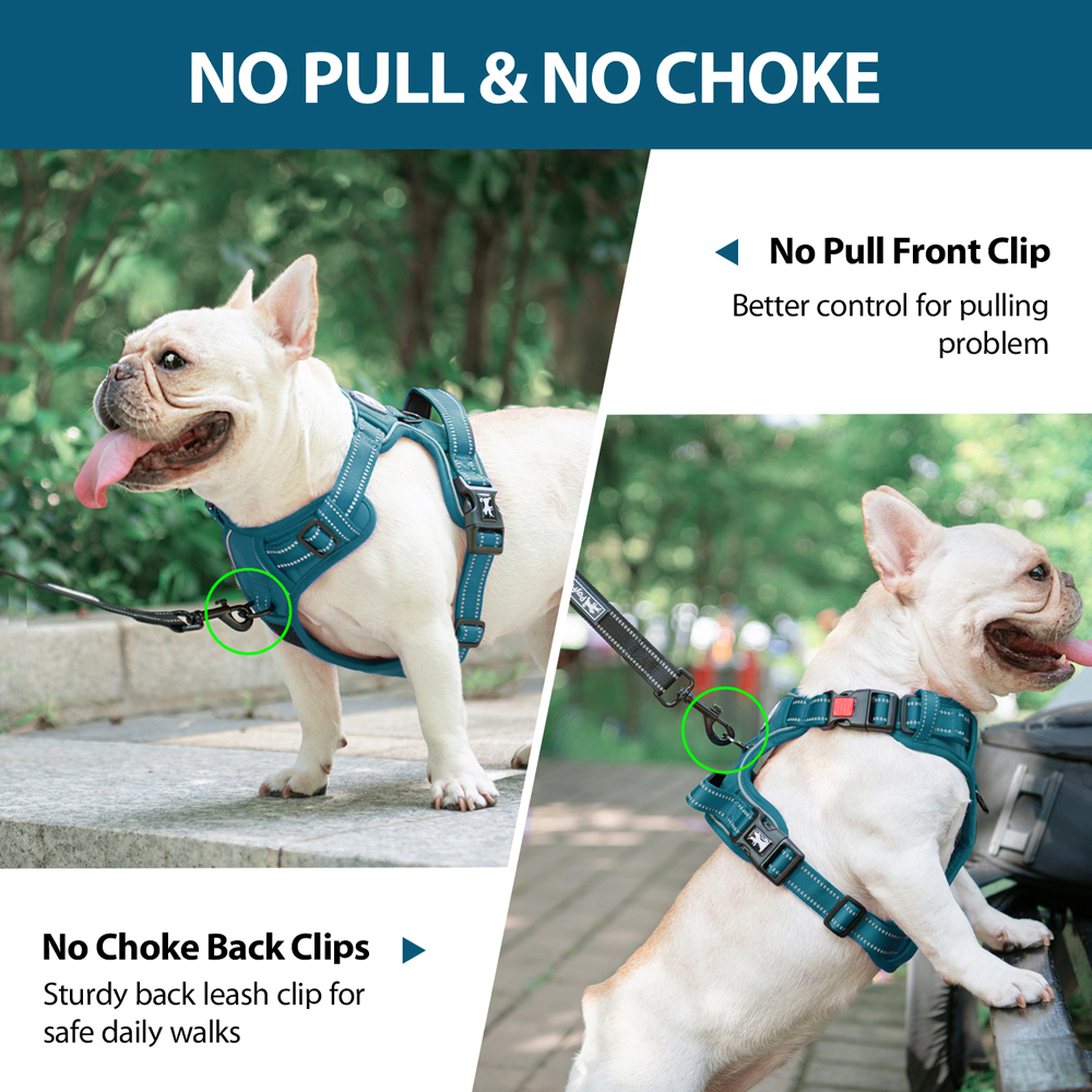 PoyPet Reflective No Pull Dog Harness, Teal, Medium photo 6