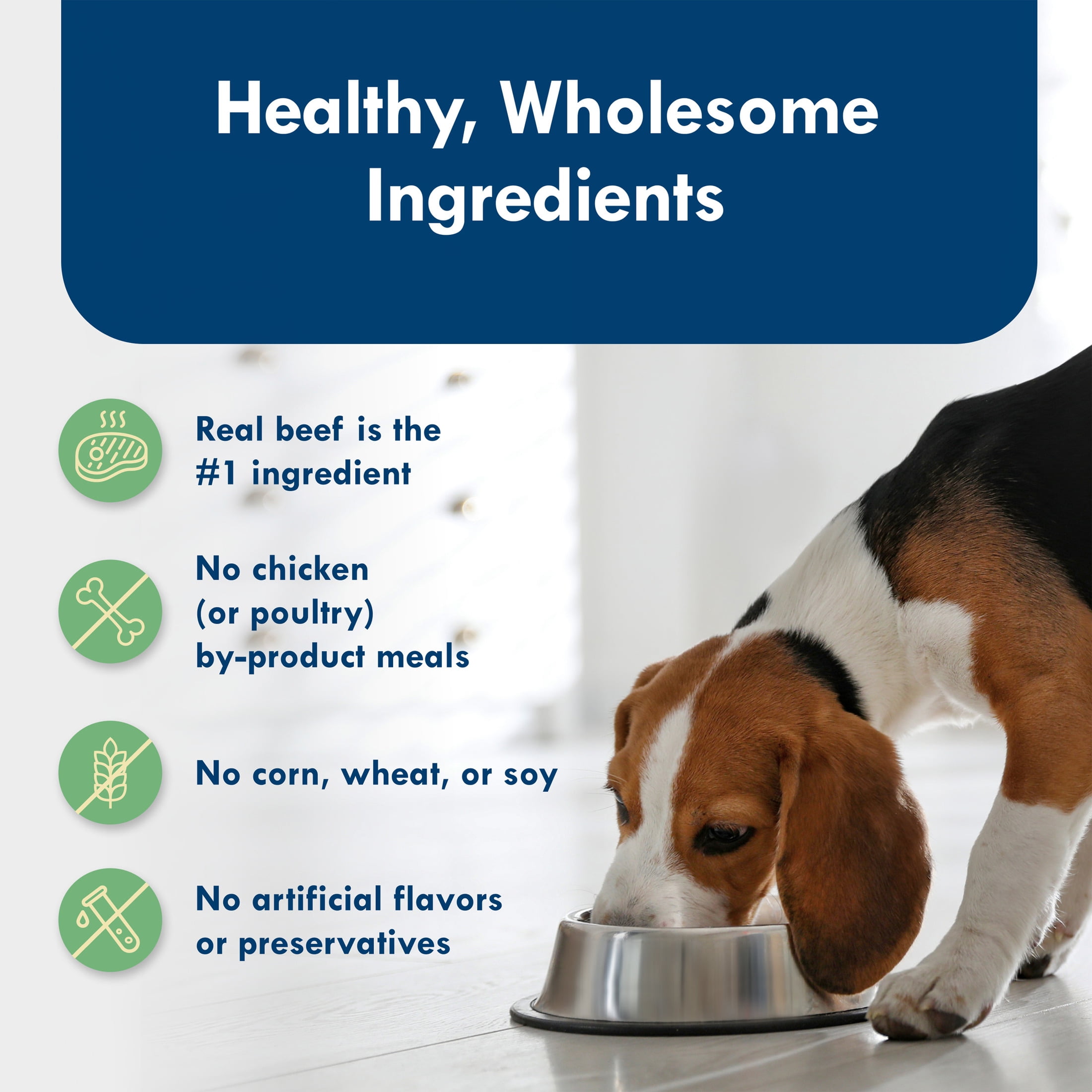 (12 pack) Blue Buffalo Delights Small Breed Natural Wet Dog Food, NY Strip in Gravy, 3.5-oz. Cup