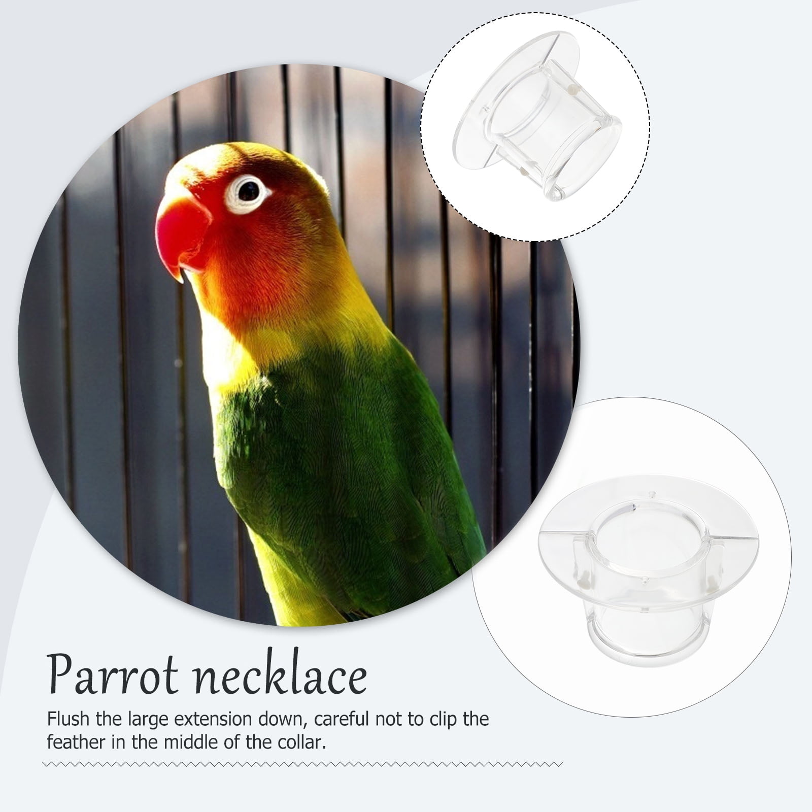 Bird hot sale cone collar