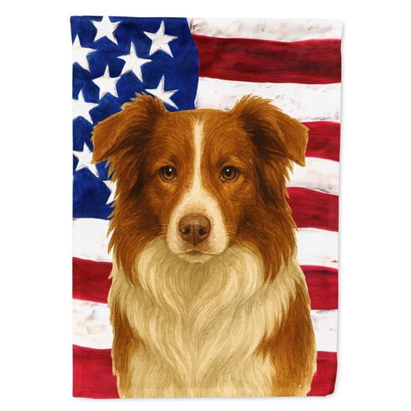 Carolines Treasures WDK6155GF 15.5 x 11.25 in. Red & White Border Collie American Flag Garden Flag